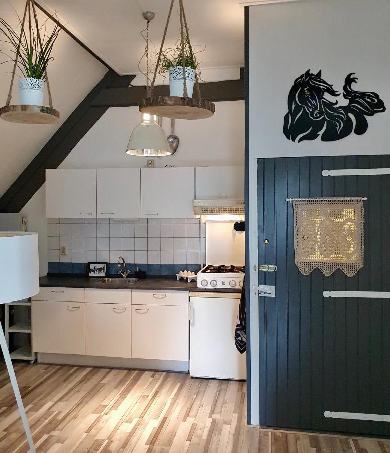 Apartment Het Friesche Paard Purmer Ngoại thất bức ảnh